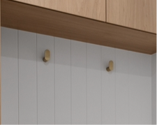 Robe Hook