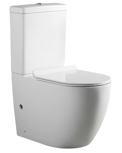 Back to Wall Toilet Suite – Gloss White